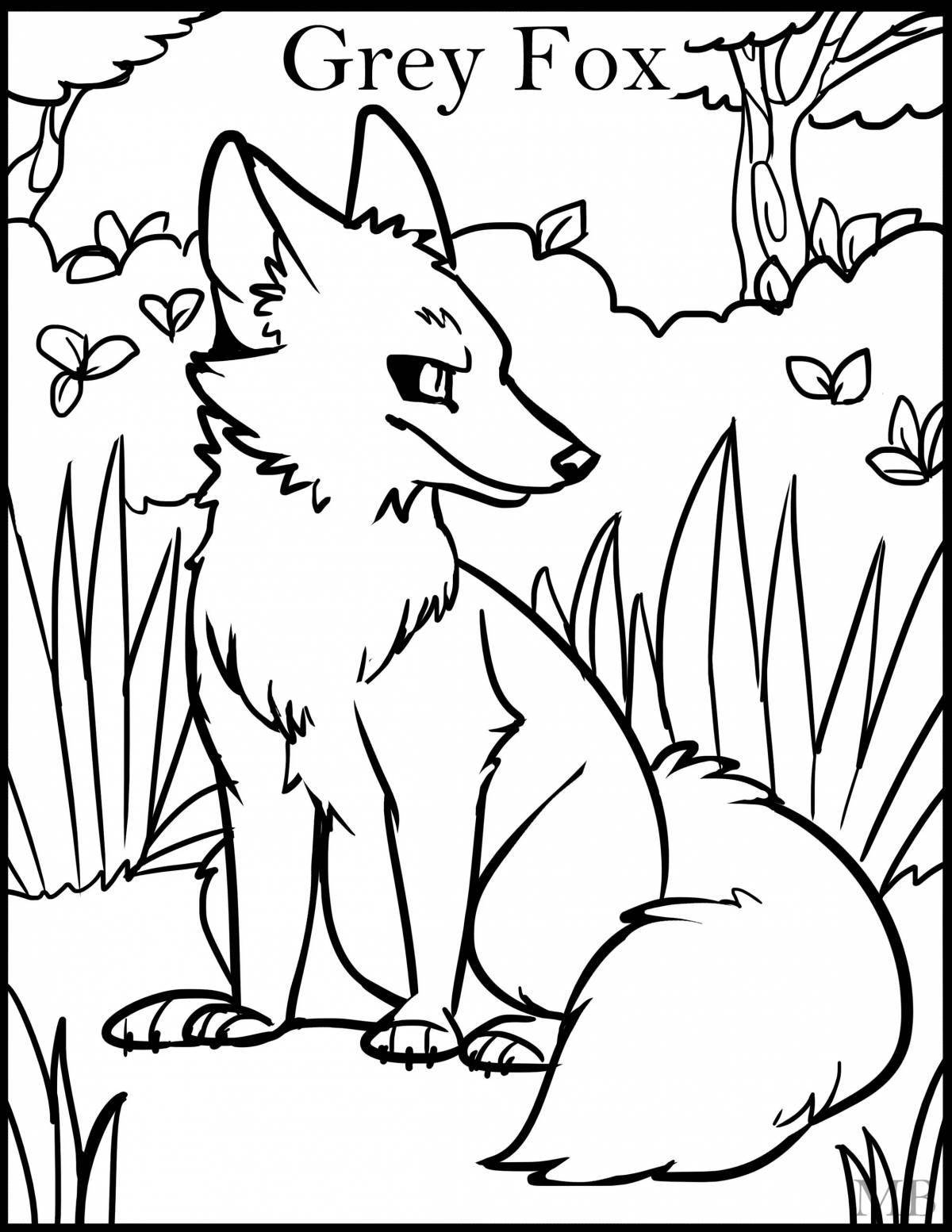 Coloring book ferocious cunning fox
