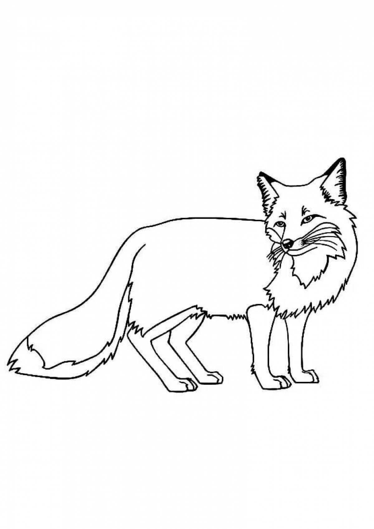 Live sly fox coloring book