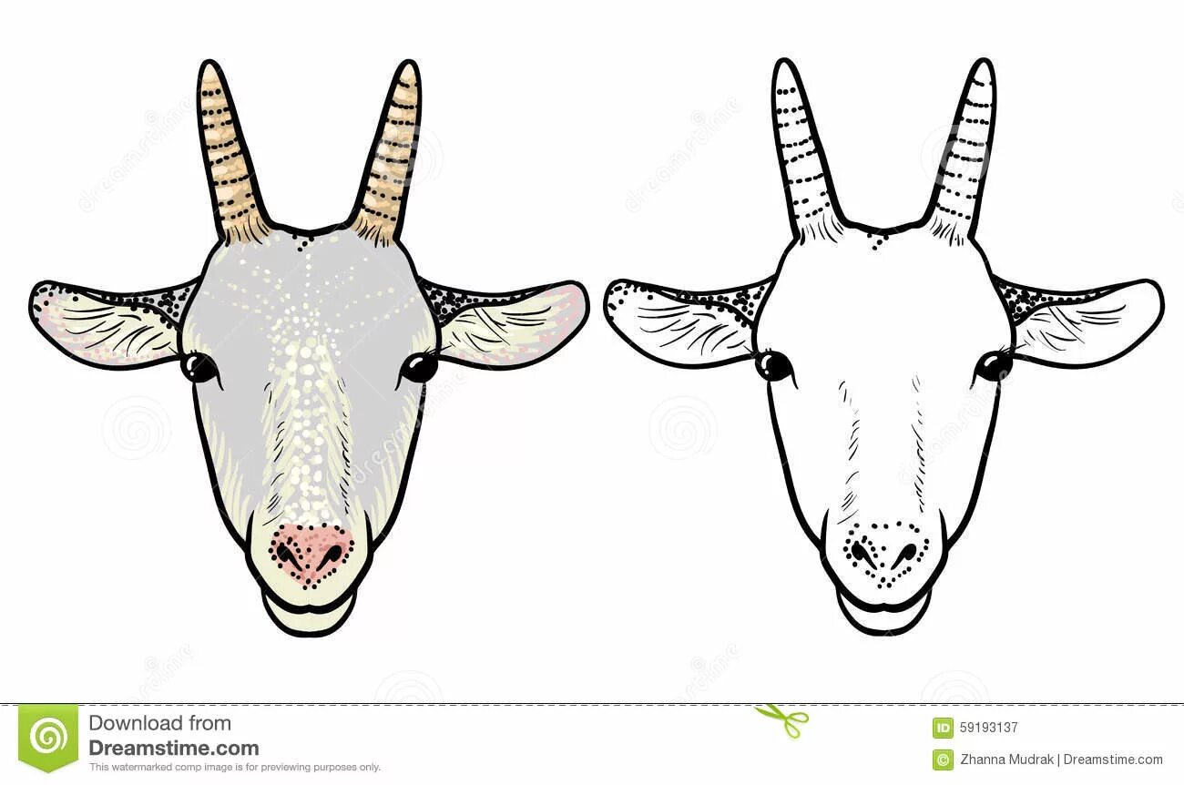 Контурный рисунок козы