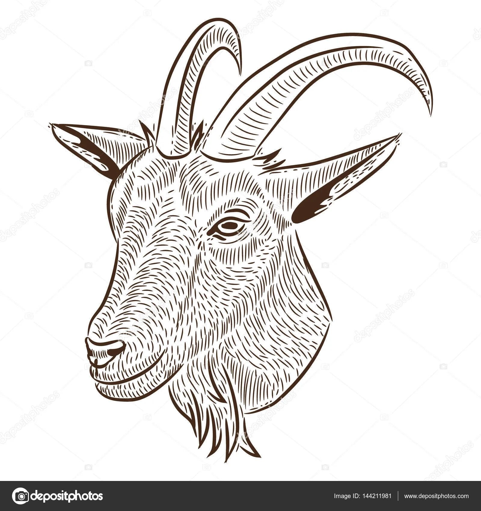 Color goat mask coloring page