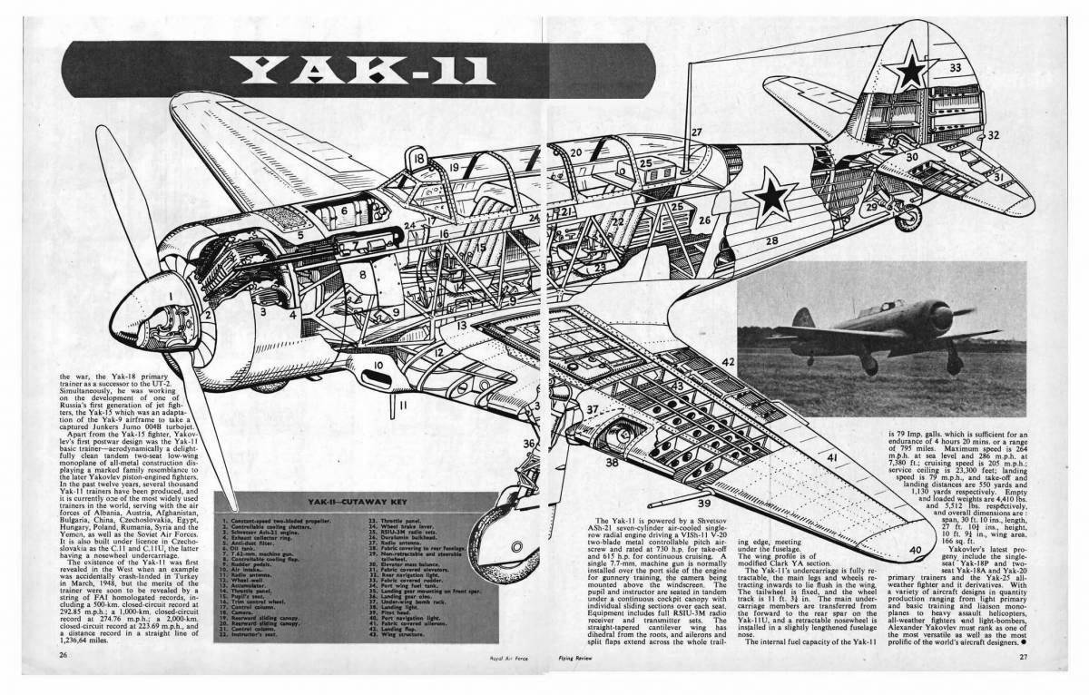 Effective coloring yak