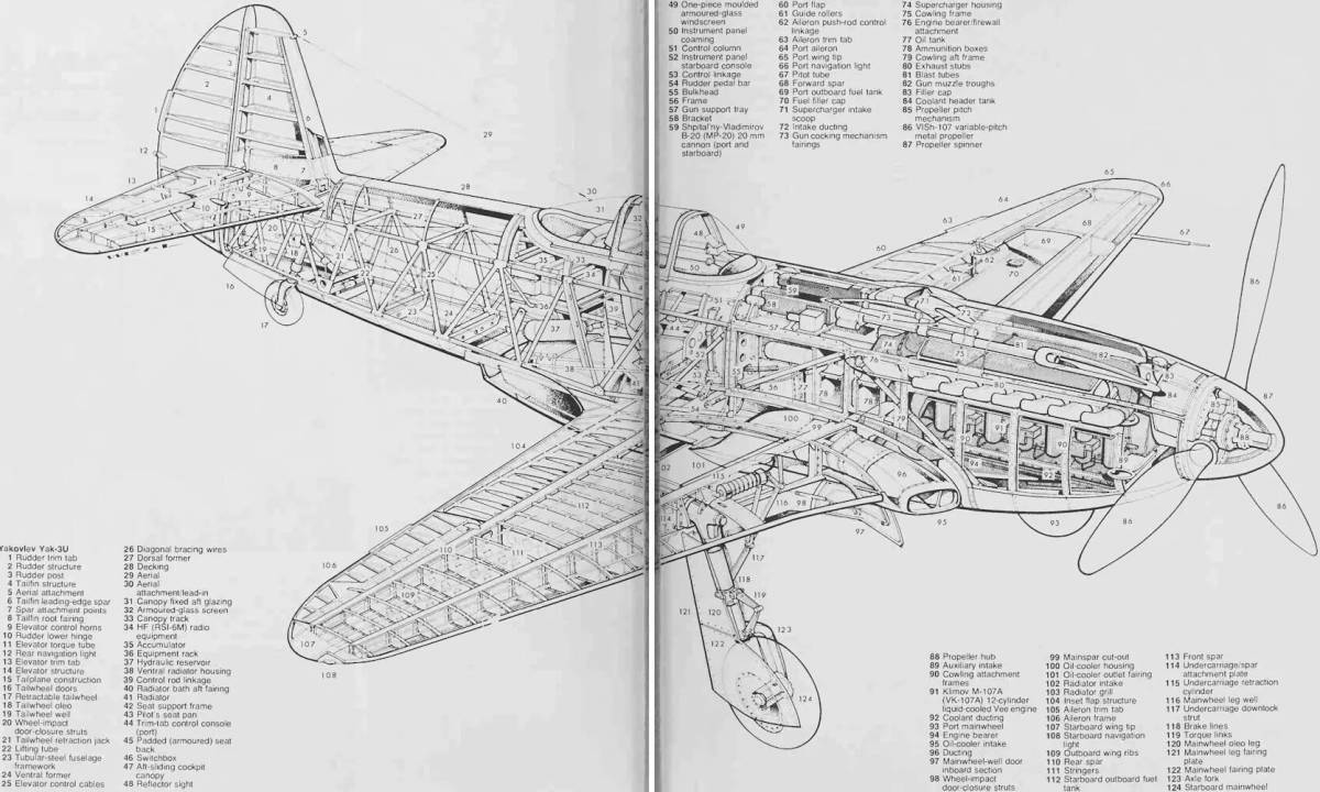 Glorious yak coloring page