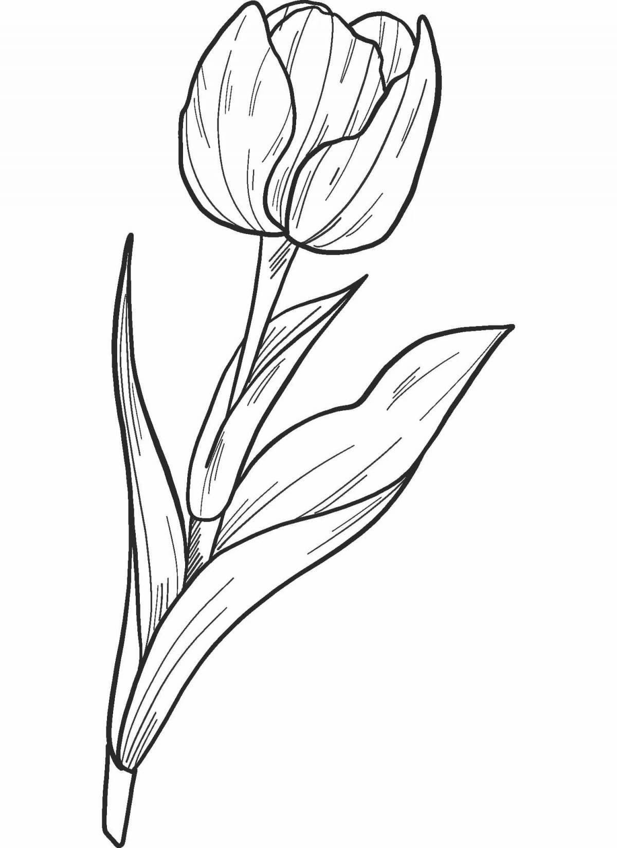 Раскраска яркий тюльпан