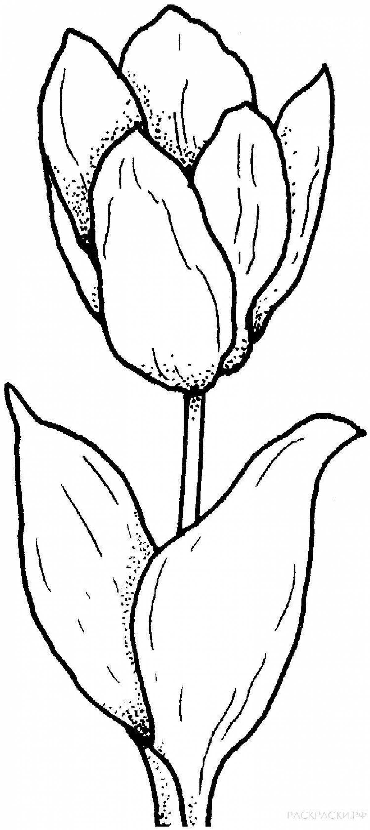 Красочная страница раскраски тюльпанов