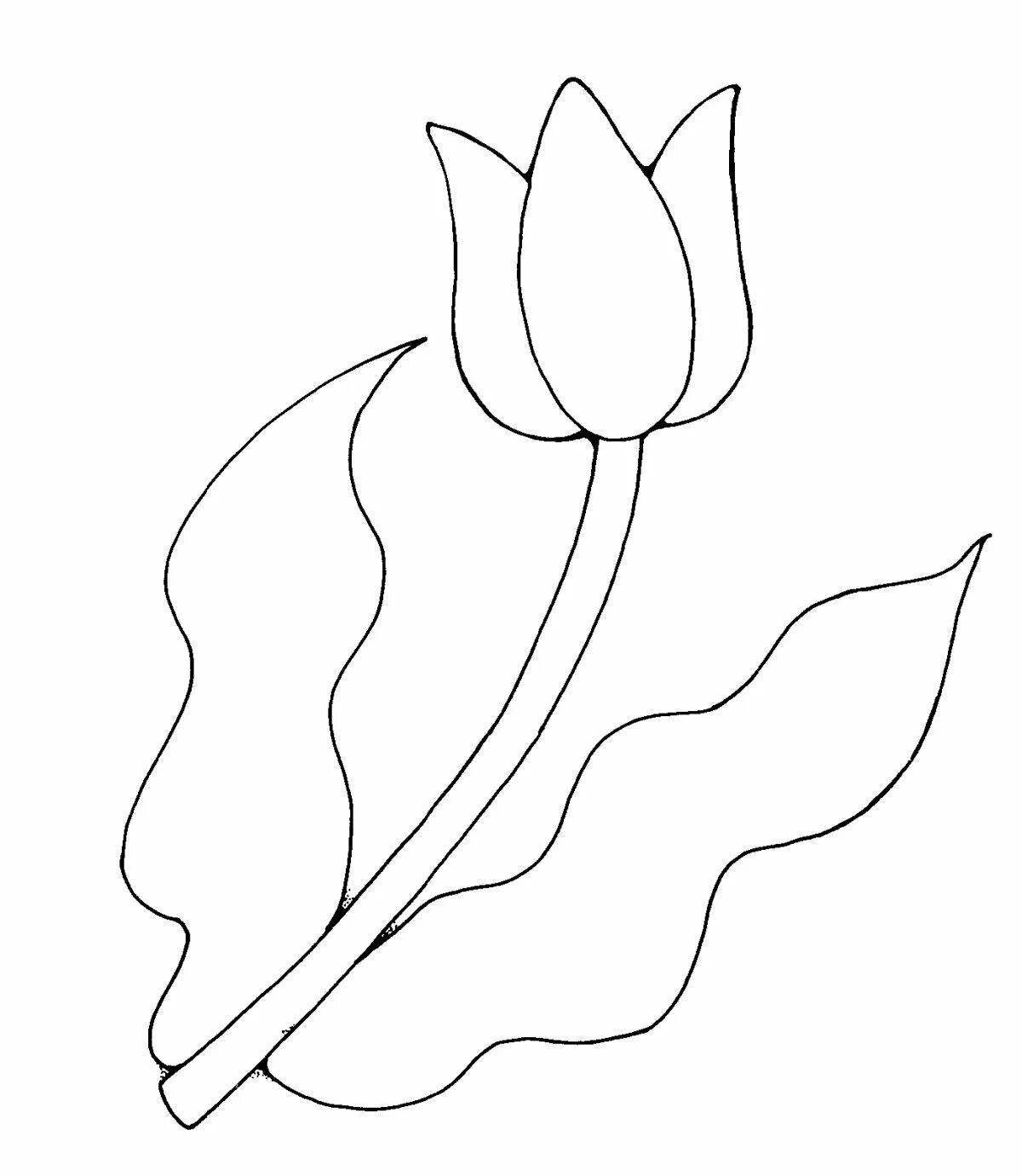 Coloring book gorgeous tulip