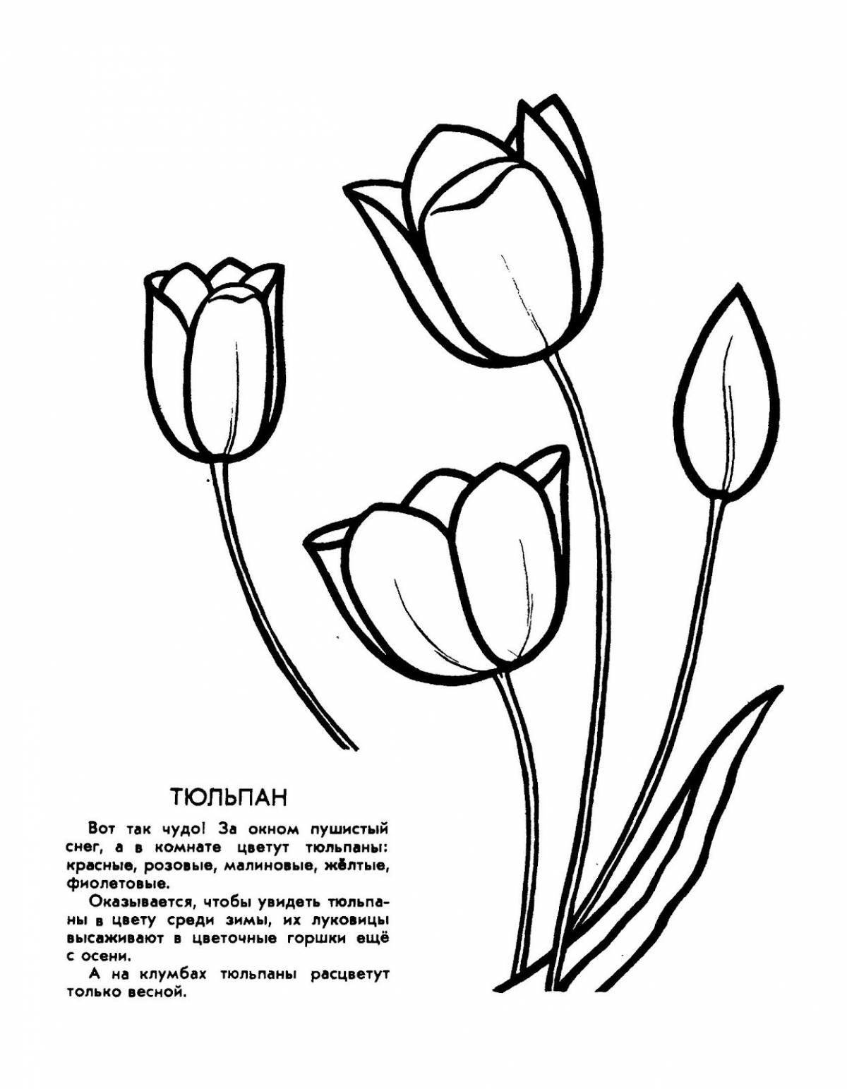 Прекрасная страница раскраски тюльпанов