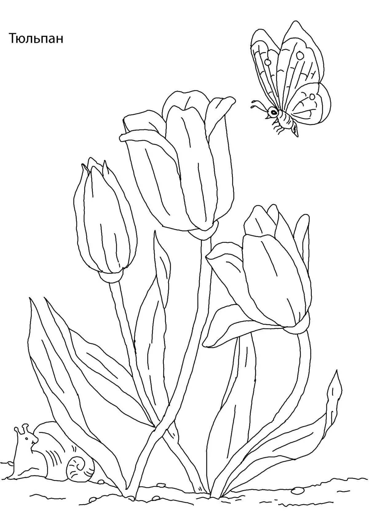 Coloring book blooming tulip