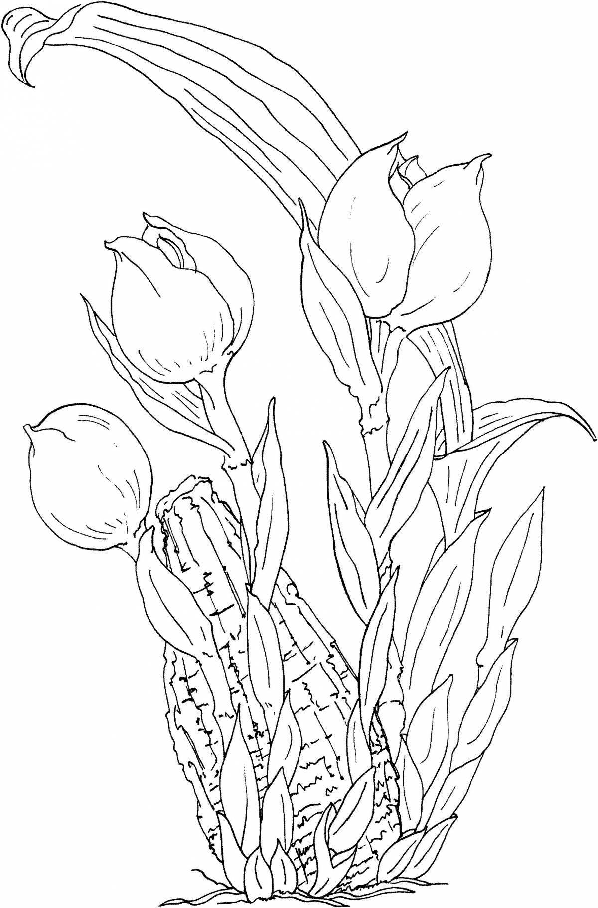 Яркая страница раскраски тюльпанов
