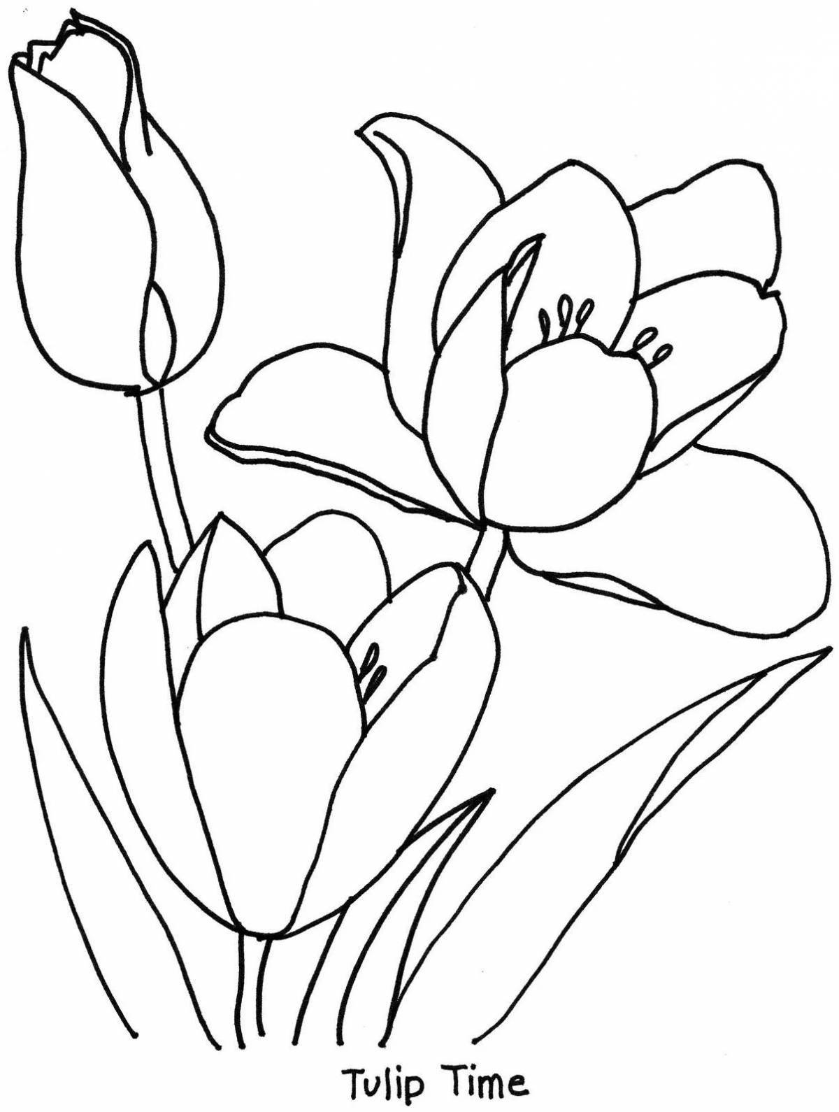 Coloring page charming tulip
