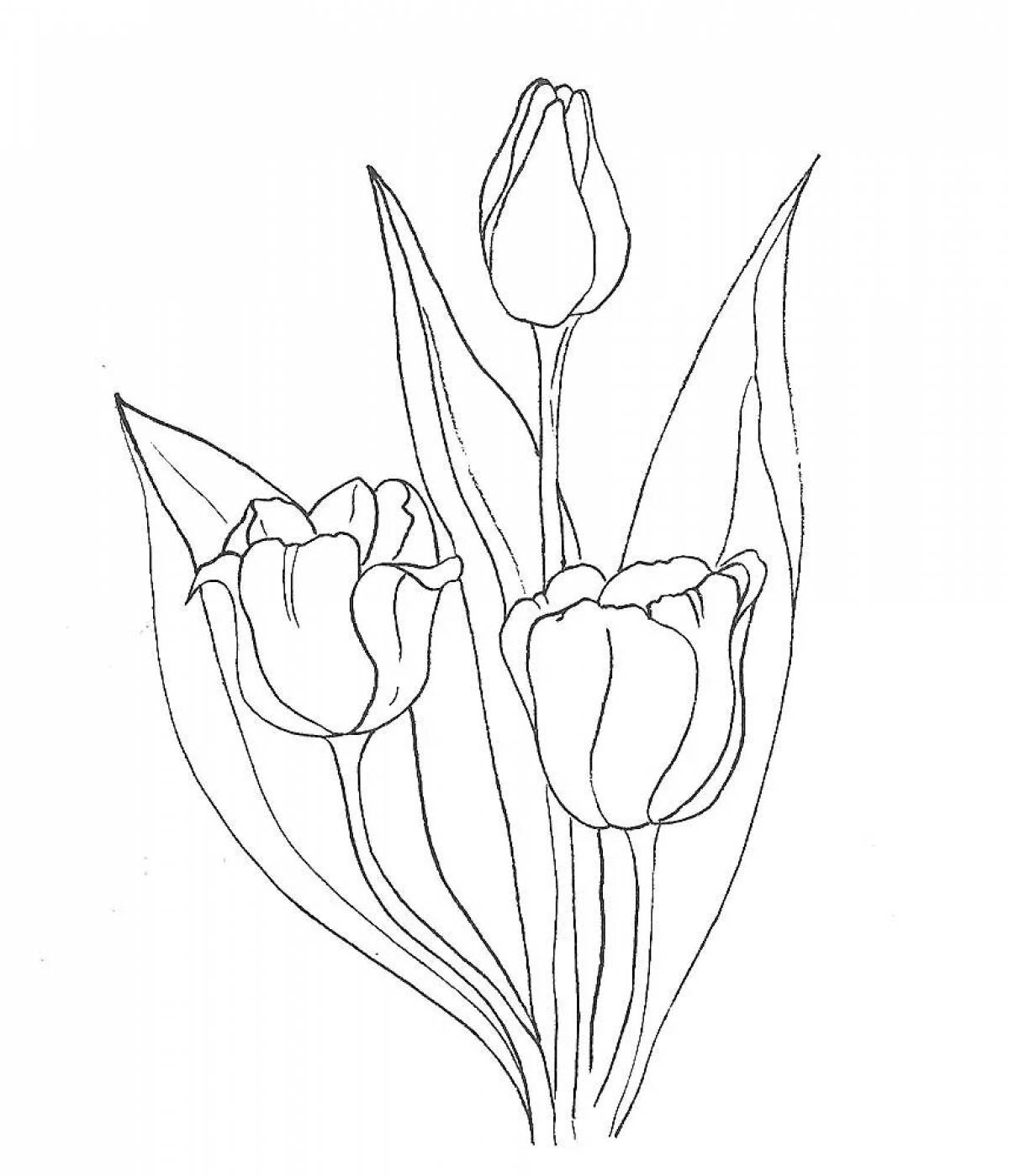 Раскраска большой тюльпан
