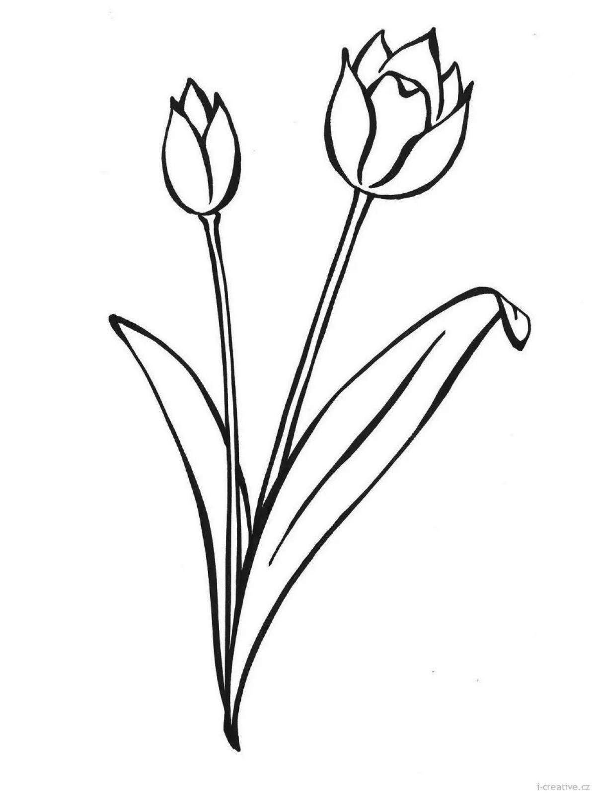 Luxury tulip coloring book