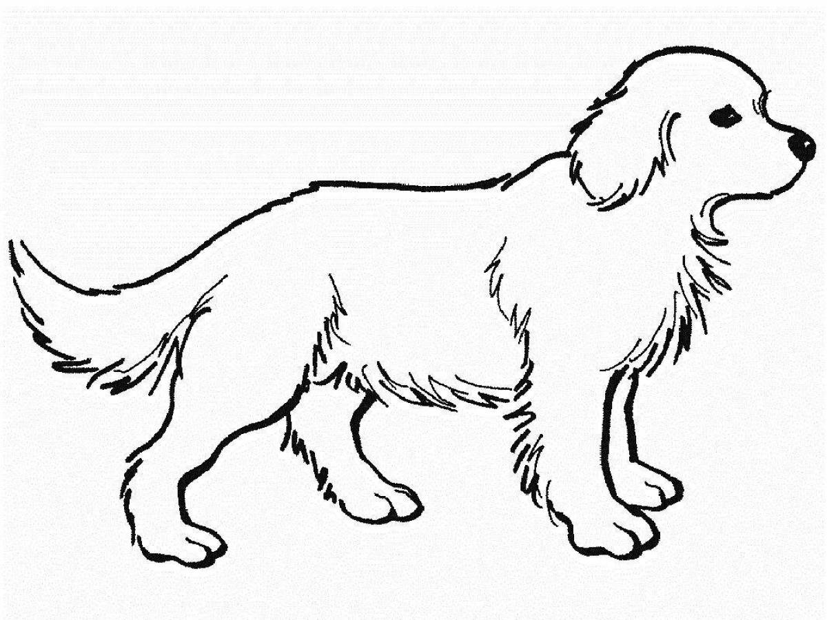 Color-crazy spiral dog coloring page