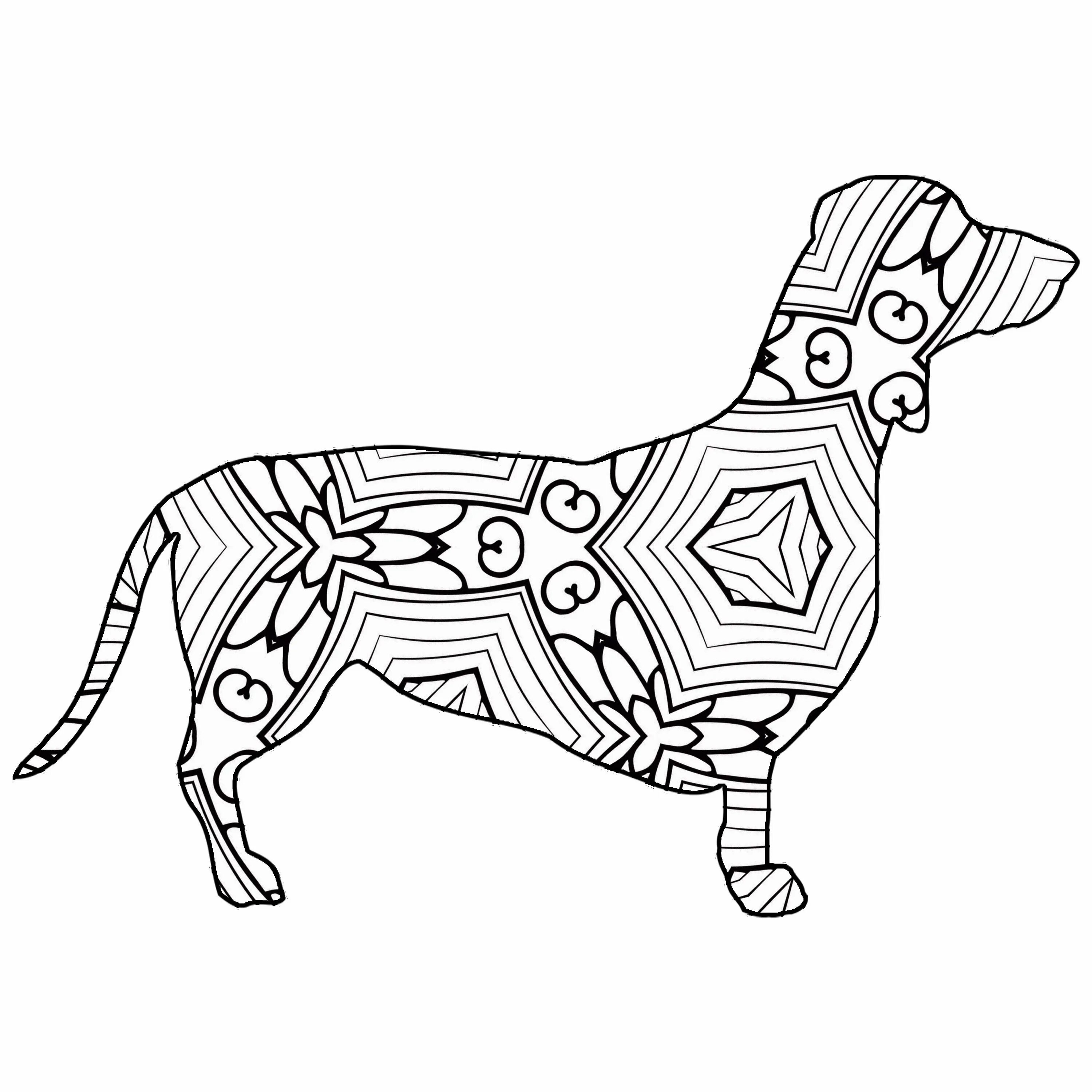 Color-blast spiral dog coloring page