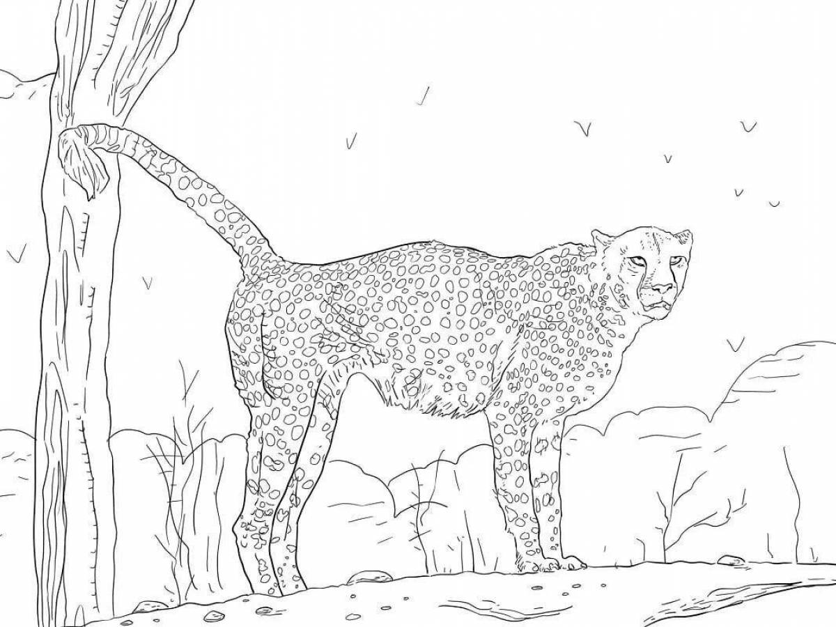 Radiant coloring page king cheetah
