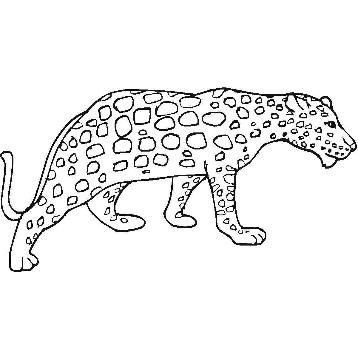Потрясающая раскраска king cheetah
