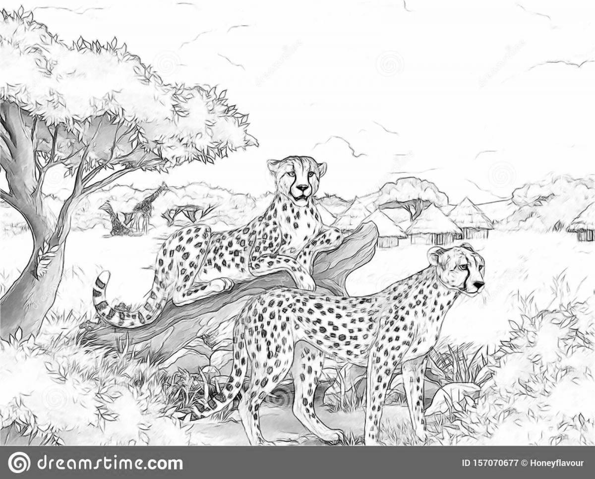 Элегантная раскраска king cheetah