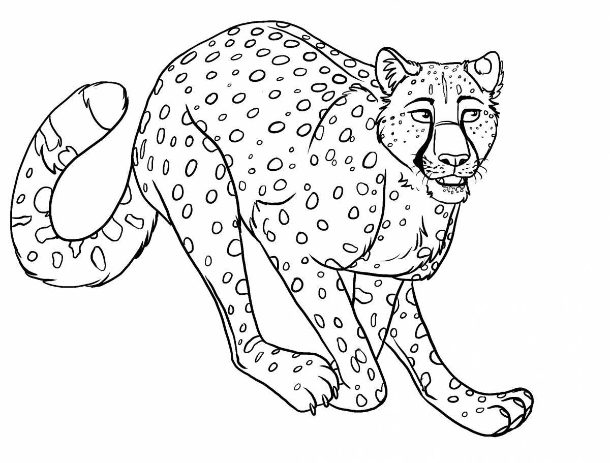 King cheetah #11