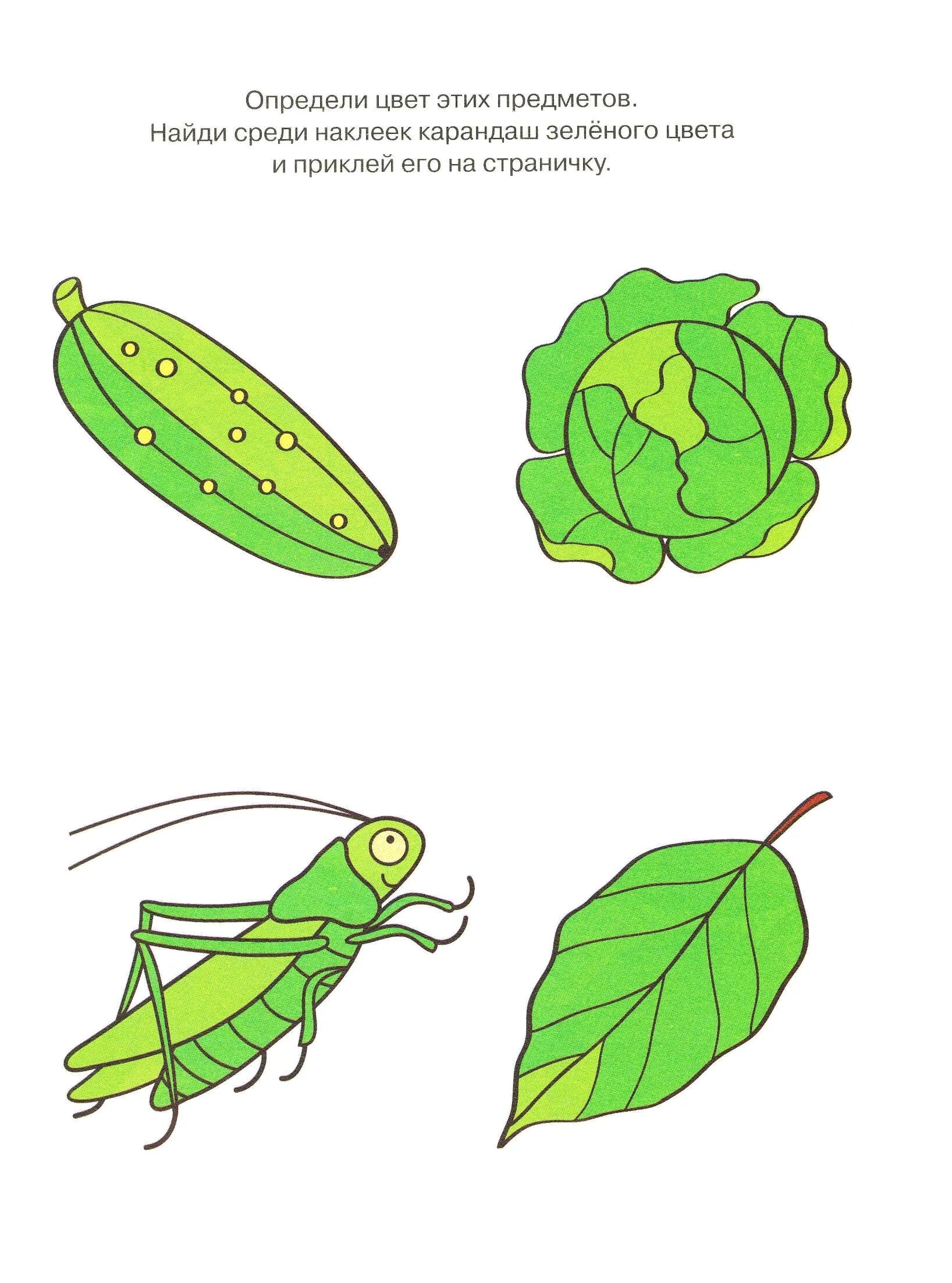 Раскраска Зеленый цвет #12