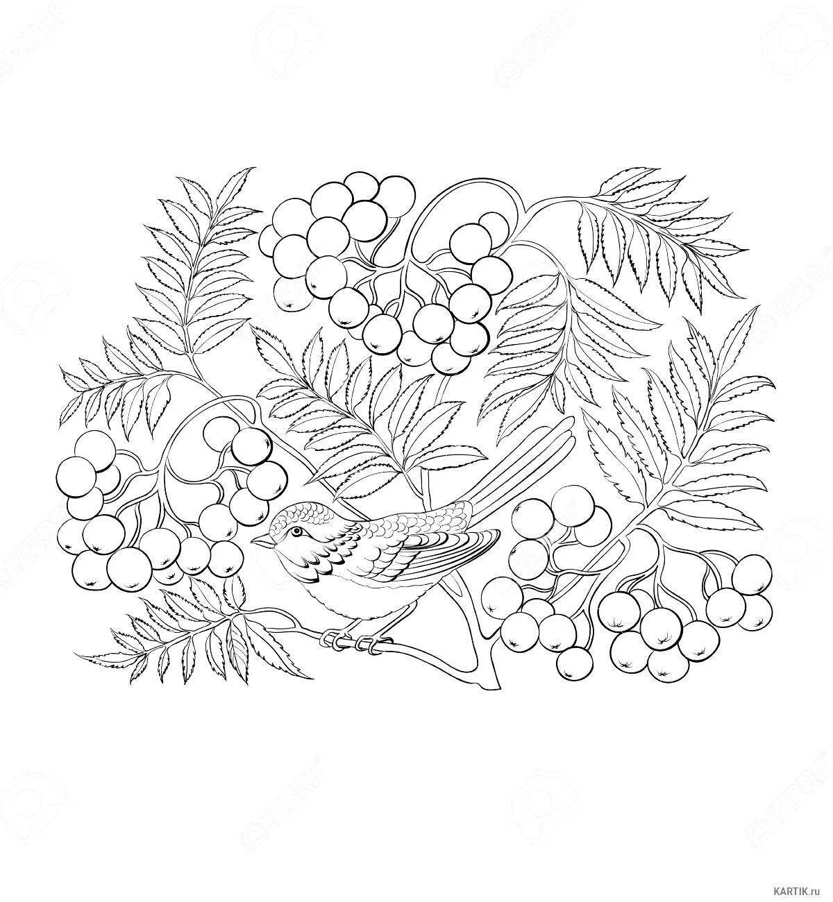 Glorious rowan berries coloring page