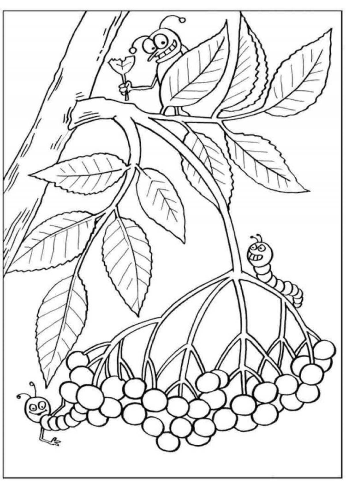 Coloring rowan berries