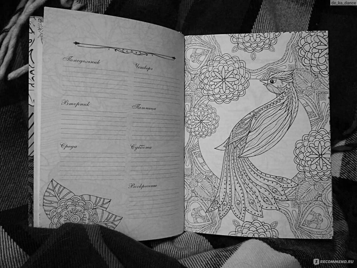 Harmonious antistress notebook coloring book