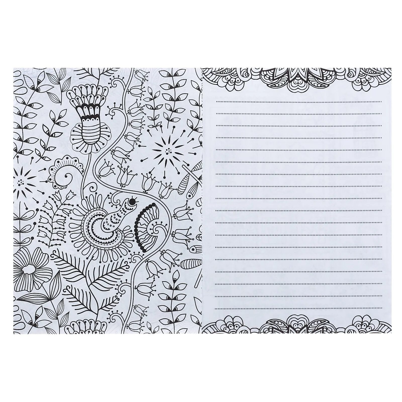 Majestic notebook antistress coloring book