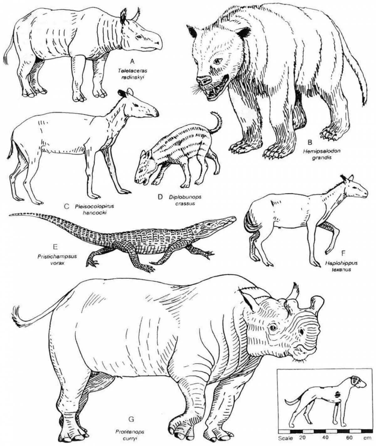 Величественные раскраски древние животные