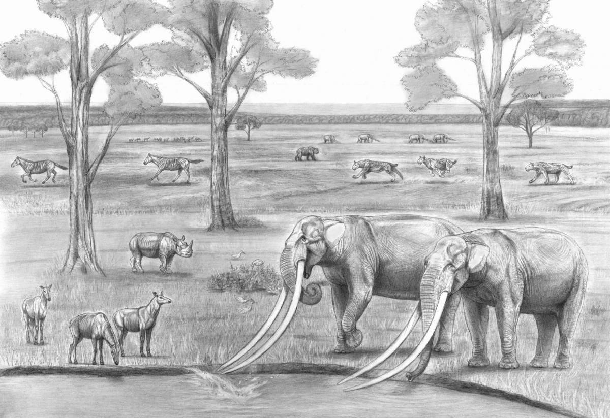 Очаровательная раскраска древние животные