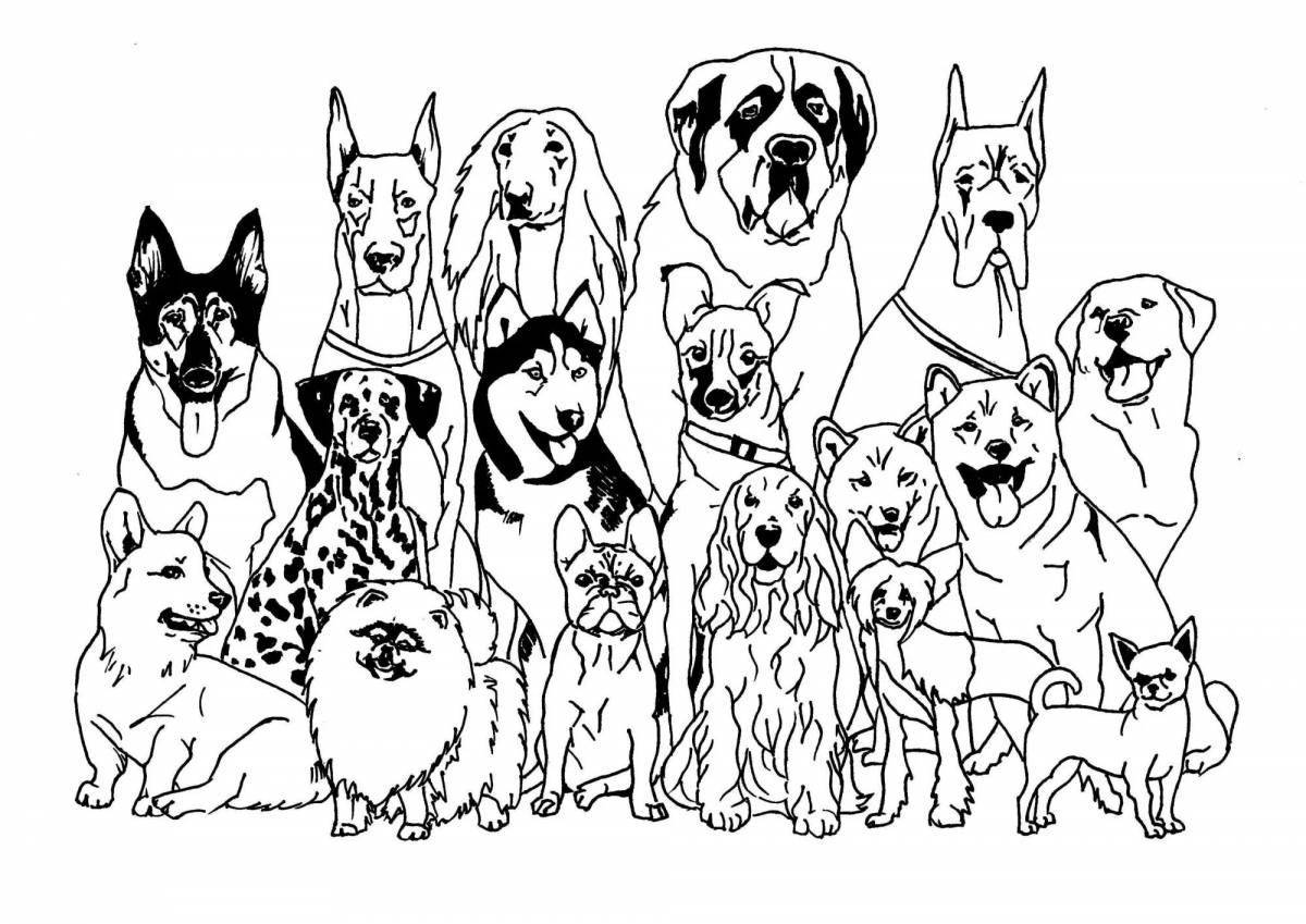 Радостная семейная раскраска собак