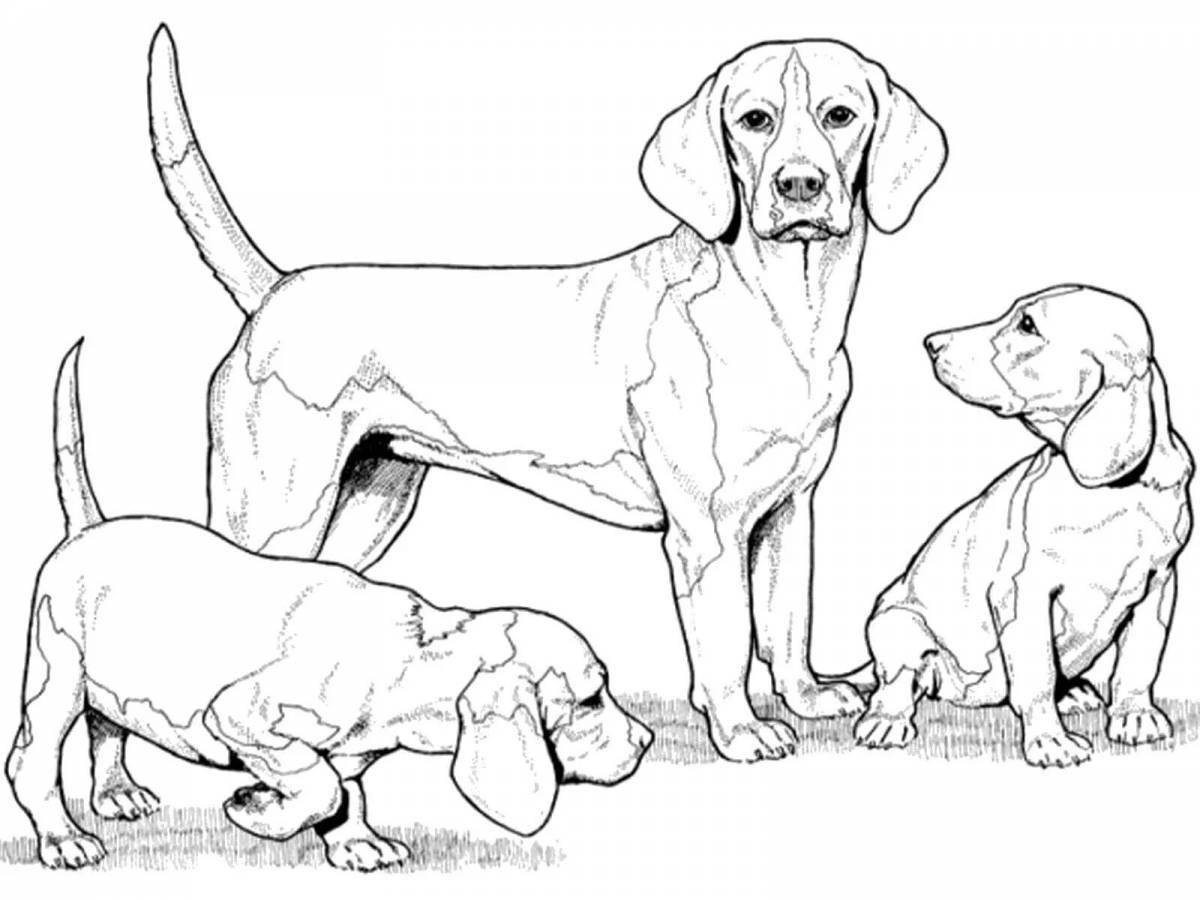 Fun family dog ​​coloring book