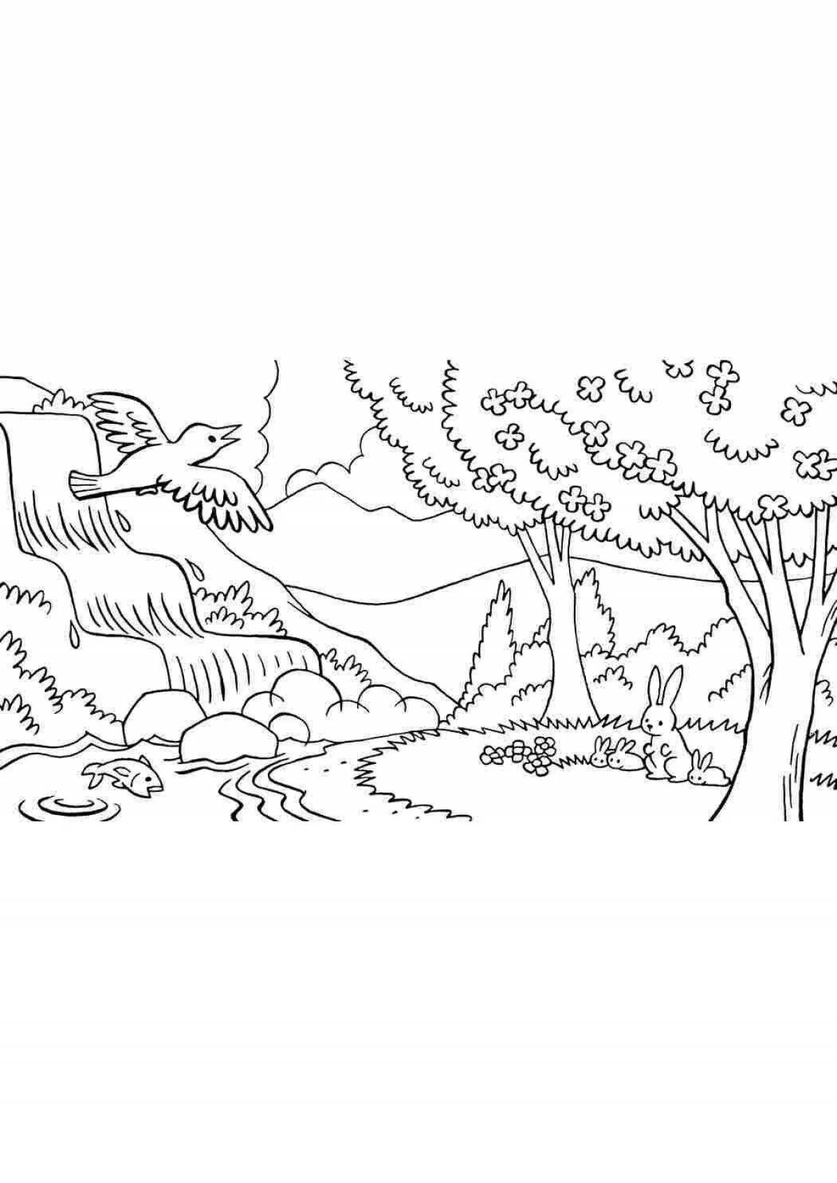 Coloring book idyllic forest glade