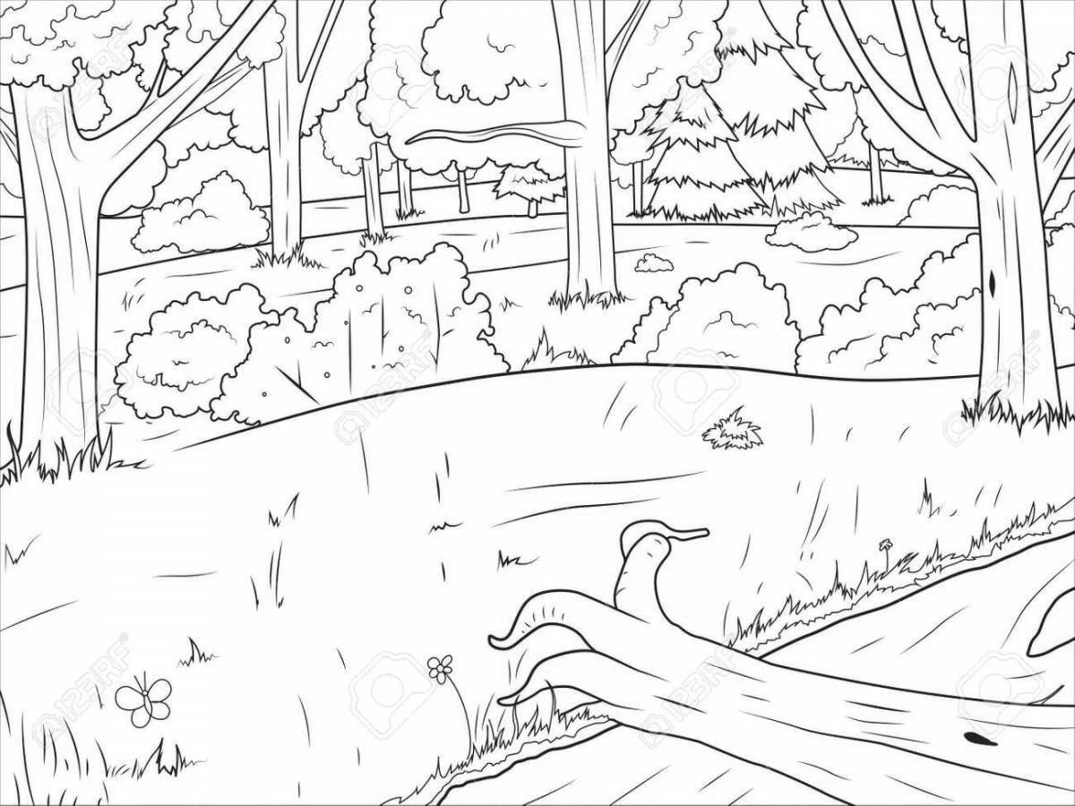 Calm forest coloring page
