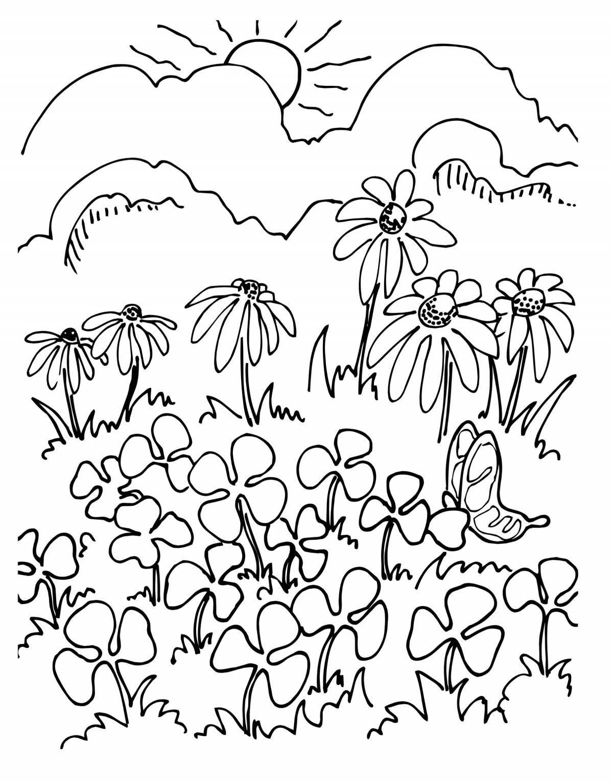 Exquisite forest glade coloring page