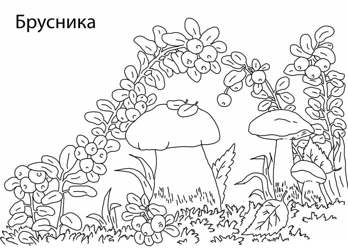 Amazing forest coloring page