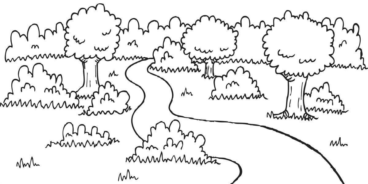 Coloring book fascinating forest glade