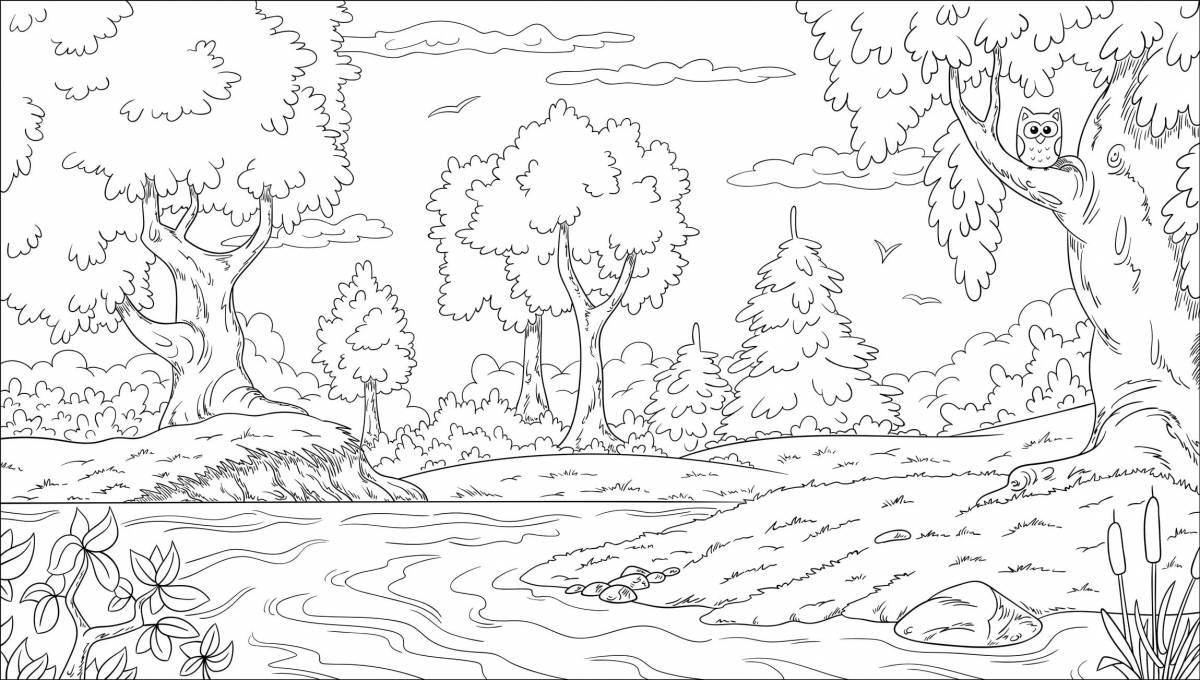 Coloring book mesmerizing forest glade