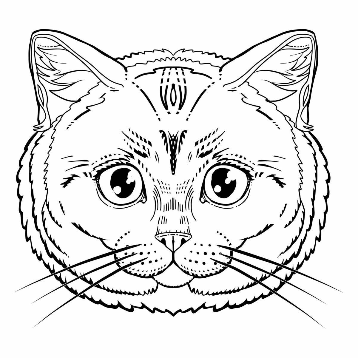 Majestic cat face coloring page