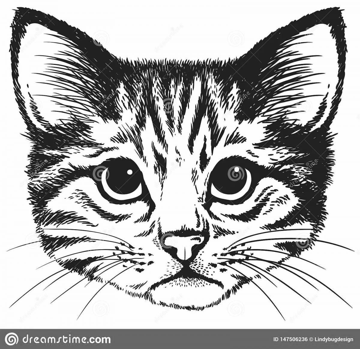 Happy cat face coloring book