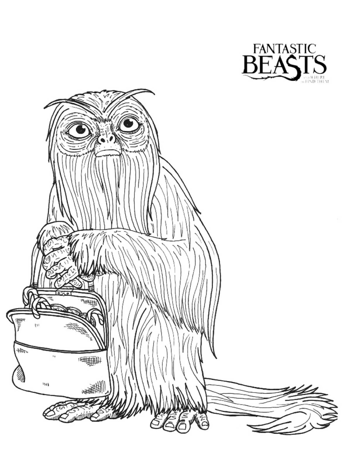 Fantastic beasts coloring book - deluxe