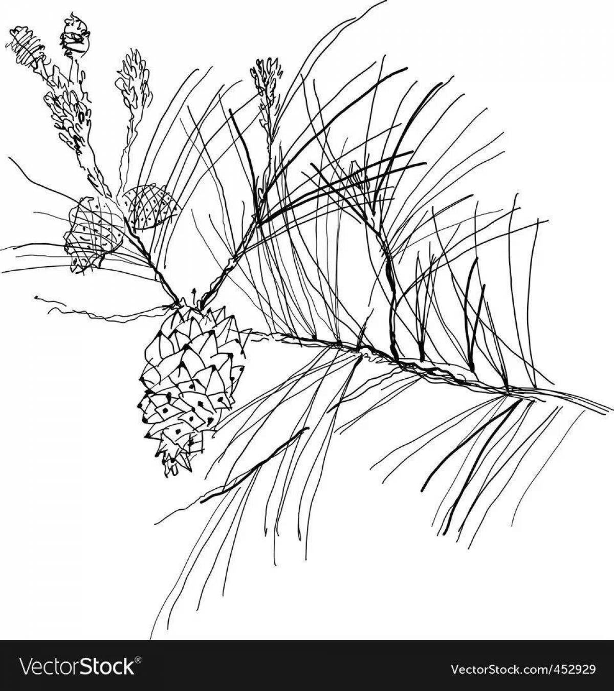 Colorful pine branches coloring page