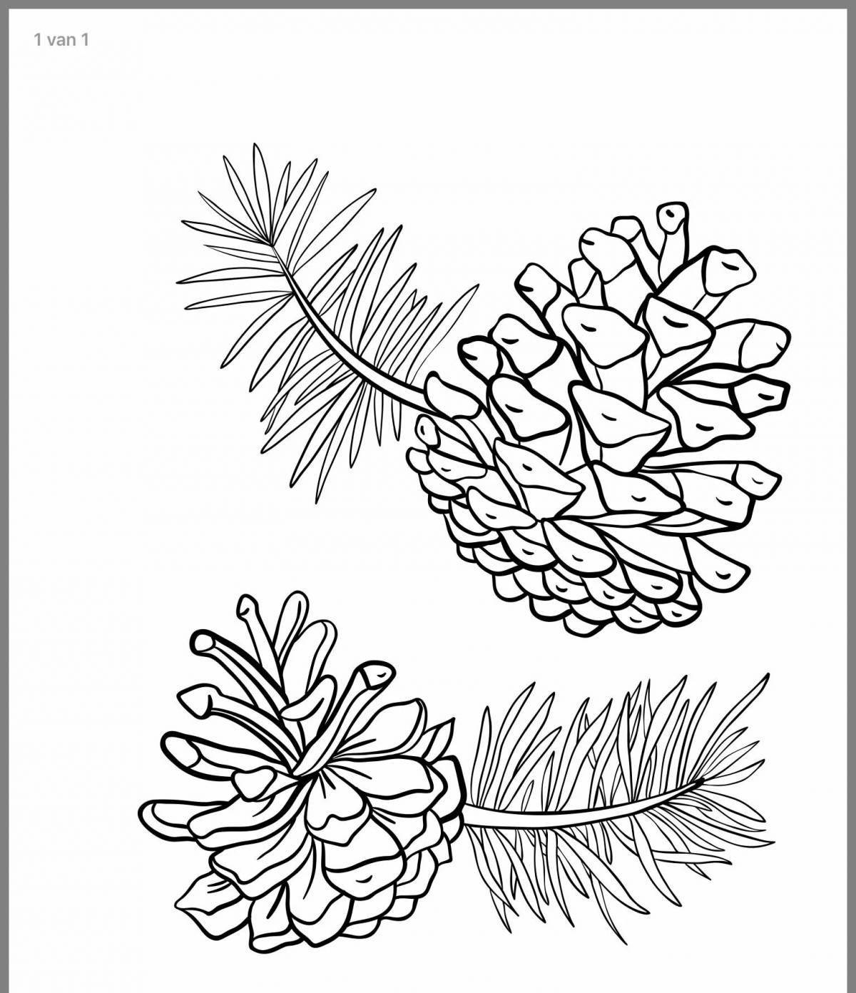 Amazing pine branch coloring page