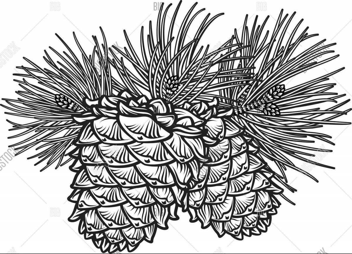 Awesome pine branch coloring page