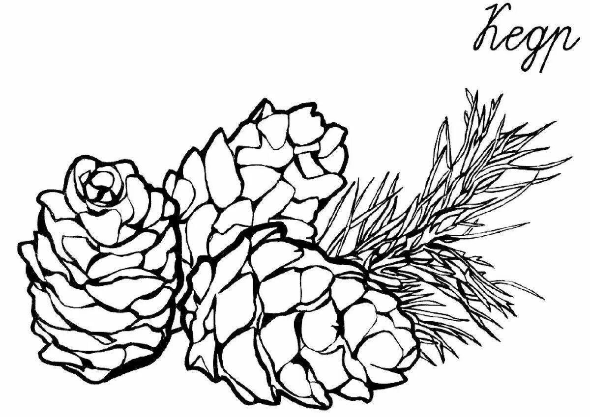 Coloring page cheerful pine branch