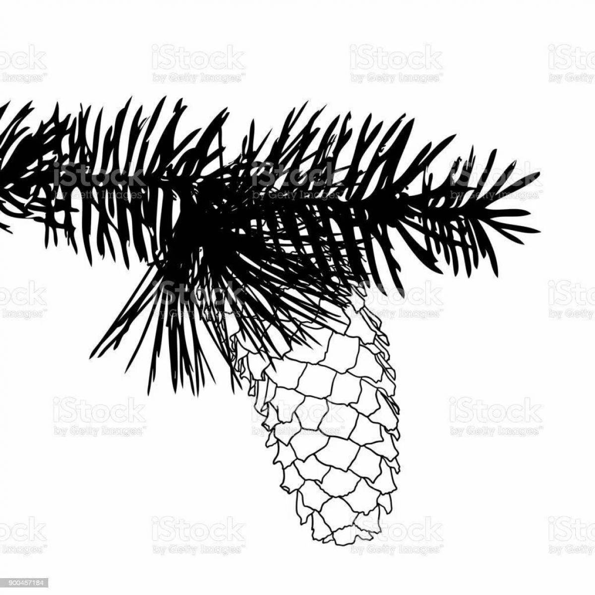 Coloring page playful pine branch