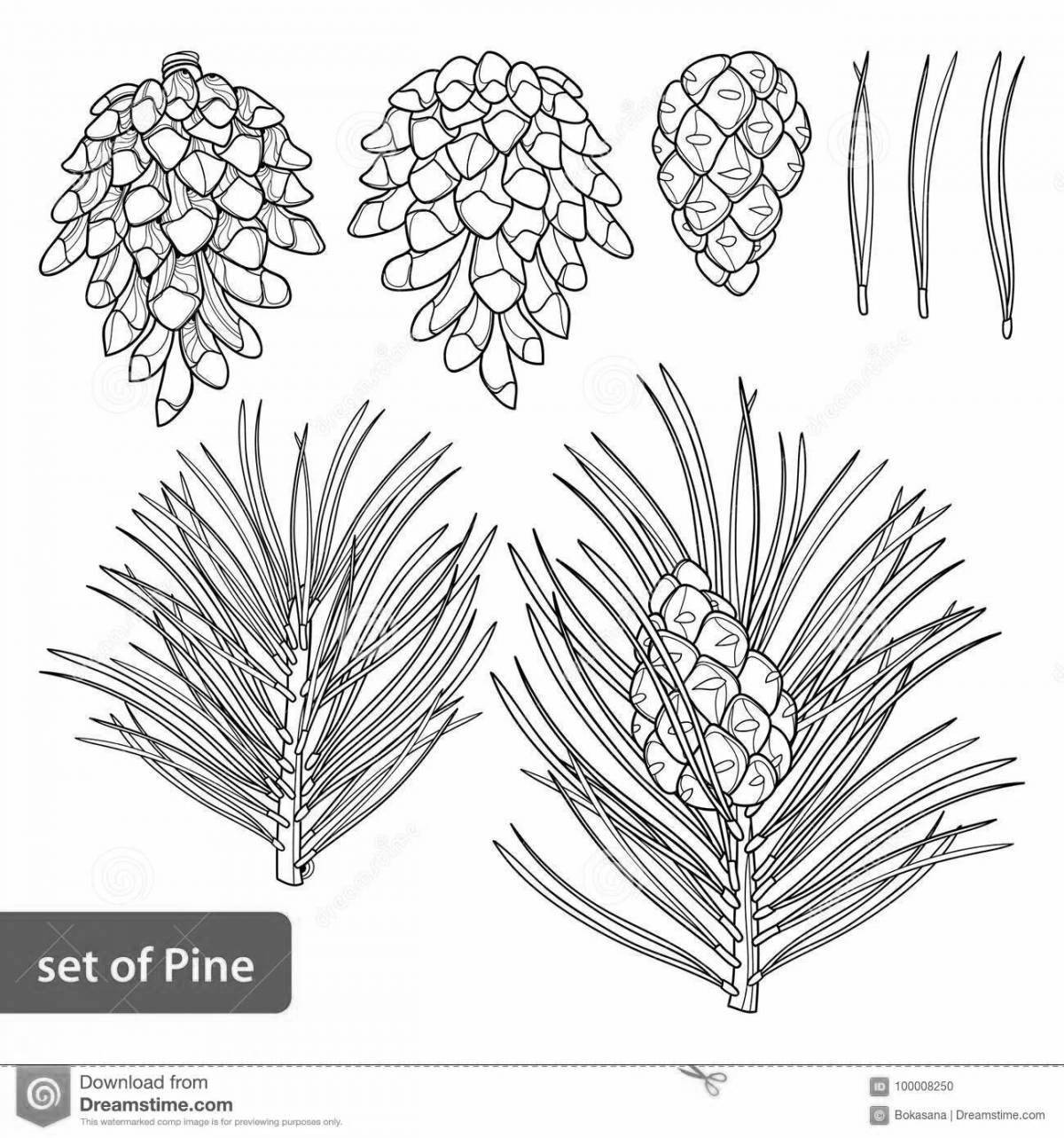 Coloring exotic pine branch