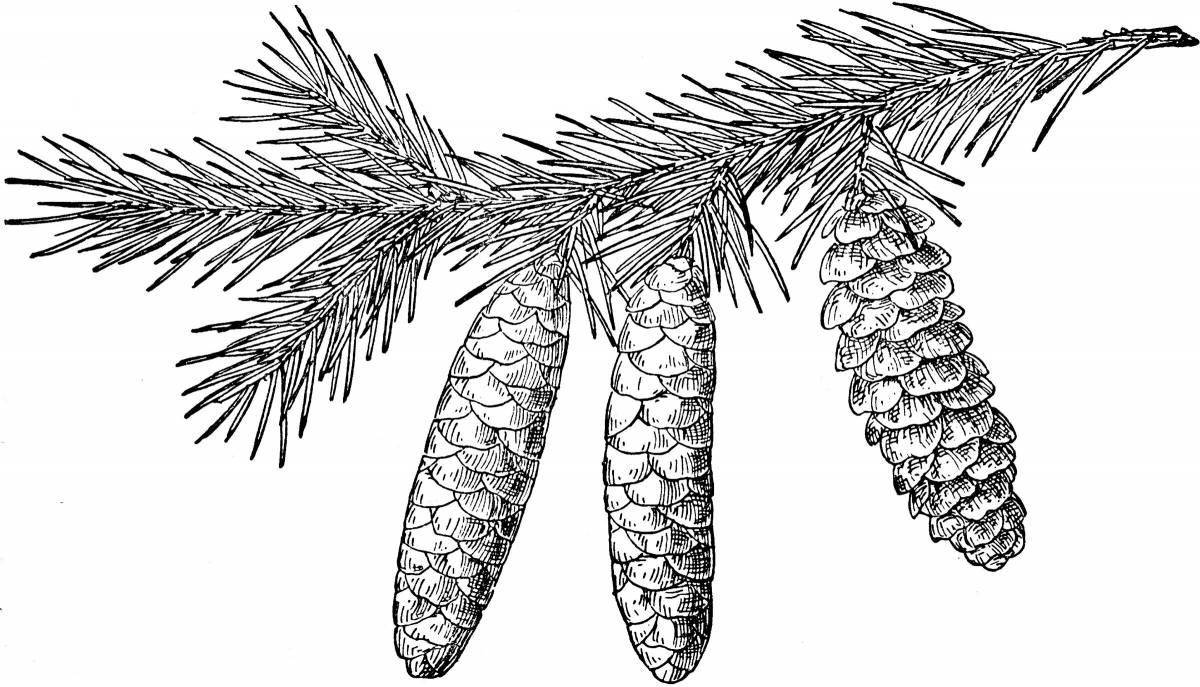 Coloring page energetic pine branch