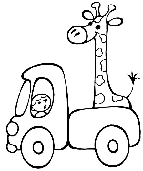Giraffe in the truck