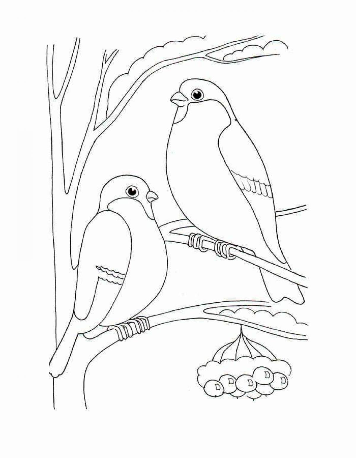 Coloring book cheerful bullfinch for kids