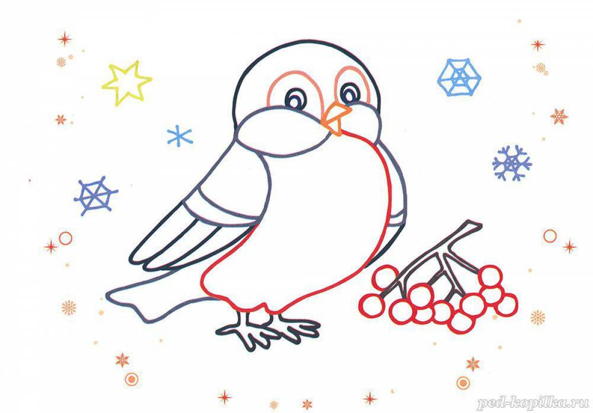 Раскраска милый снегирь для детей