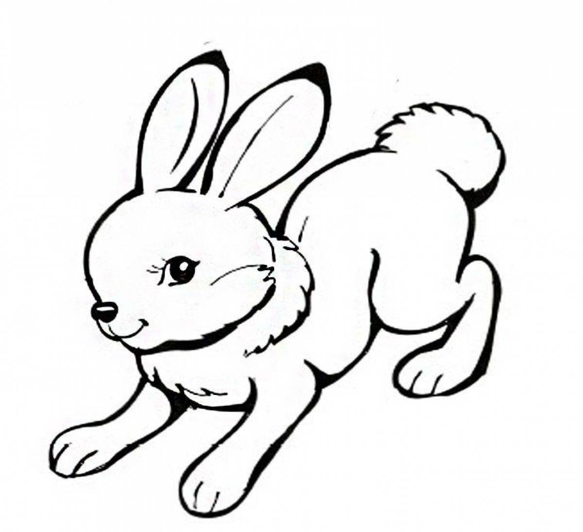 Раскраска милый заяц для детей